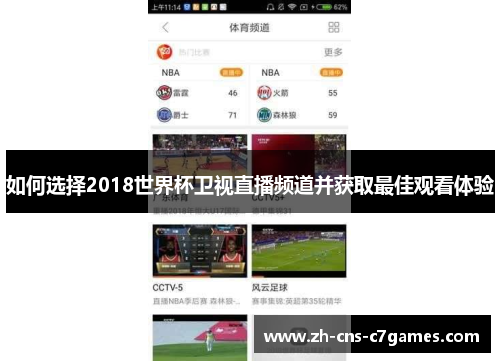 如何选择2018世界杯卫视直播频道并获取最佳观看体验